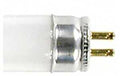 TUBE FLOU T5 COOL WHT 13W 21IN