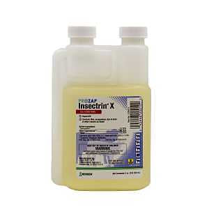 INSECTRIN X CONCENTRATE 8OZ   