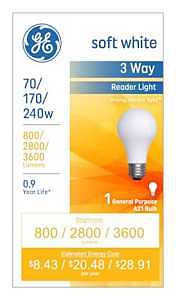 15846 INC SOFT WHITE 240W     