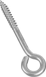 BOLT LAG EYE 1/4X3-3/4IN SS   