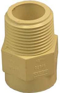 ADAPTER CPVC MIP X CPVC 3/4   
