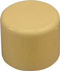 CAP CPVC 1/2 IN               