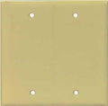 WALL PLATE 2 GANG BLANK MID IV