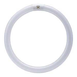 BULB FLUOR CIR WW 4PN 12IN 32W