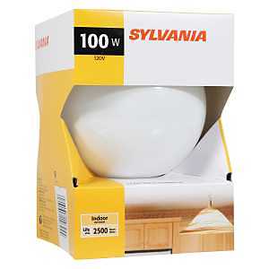 BULB DCRTV SFTWHT GLB G40 100W
