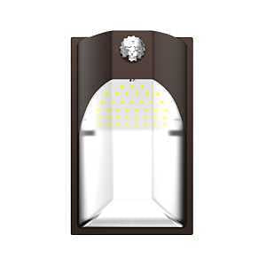 LIGHT WP LED D2D SCCT BRZ 100W