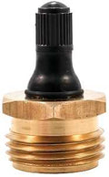 PLUG BLOW OUT BRASS WATER LINE