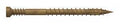 TRIM SCREW T10 TAN NO7 X 2IN  