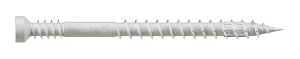 TRIM SCREW T10 WHITE NO7 X 2IN