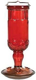 FEEDER HUMMINGBIRD ANT BT 24OZ