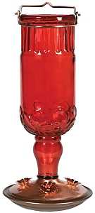 FEEDER HUMMINGBIRD ANT BT 24OZ