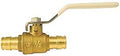 VALVE BALL 1/2IN F1960        