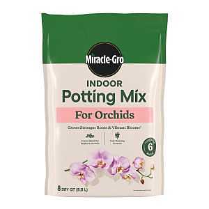 MIX POTTING ORCHID BLEND 8QT  