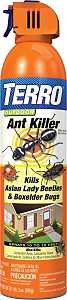 AEROSOL ANT & BEETLE KLR 19OZ 