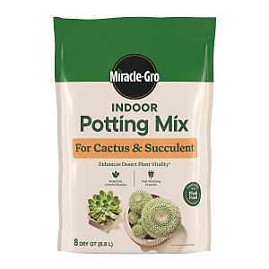 MIX POTTING CACTUS PALM 8QT   