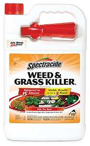 KILLER W/SPRY GRS/WEED RTU GAL
