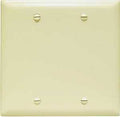 BLANK WALL PLATE 2G BX MT IVRY