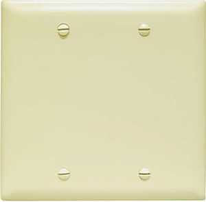 BLANK WALL PLATE 2G BX MT IVRY