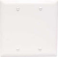 BLANK WALL PLATE 2G BX MT WHT 