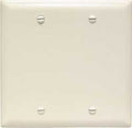 BLANK WALL PLATE 2GANG LT ALM 