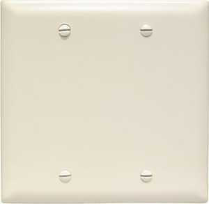 BLANK WALL PLATE 2GANG LT ALM 