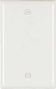 BLANK WALL PLATE 1G BX MT WHT 