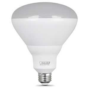 BULB LED BR40 DIMMABLE 5000K  