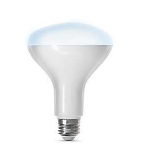 BULB BR30 5000K ALEXA GOOGLE  