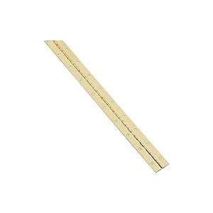 HINGE CONT BRASS 1-1/16X30IN  