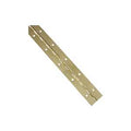 HINGE CONTINOUS BRS 1-1/2X12IN